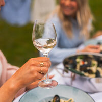 Vinglas, Sauvignon Blanc 2 stk.