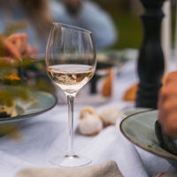 Vinglas, Sauvignon Blanc 2 stk.