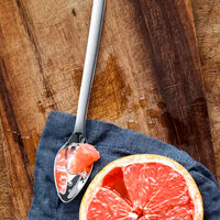 WMF Nuova Grapefruktskniv 16 cm 2-p