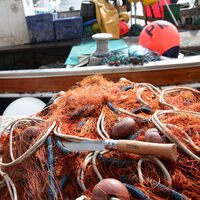 Fällkniv No 8, 8,5 cm Bok