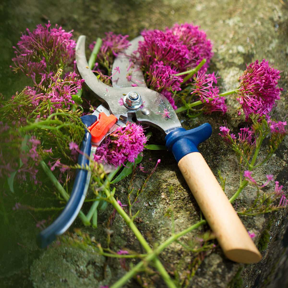 Opinel Sekatör