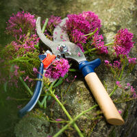 Opinel Sekatör