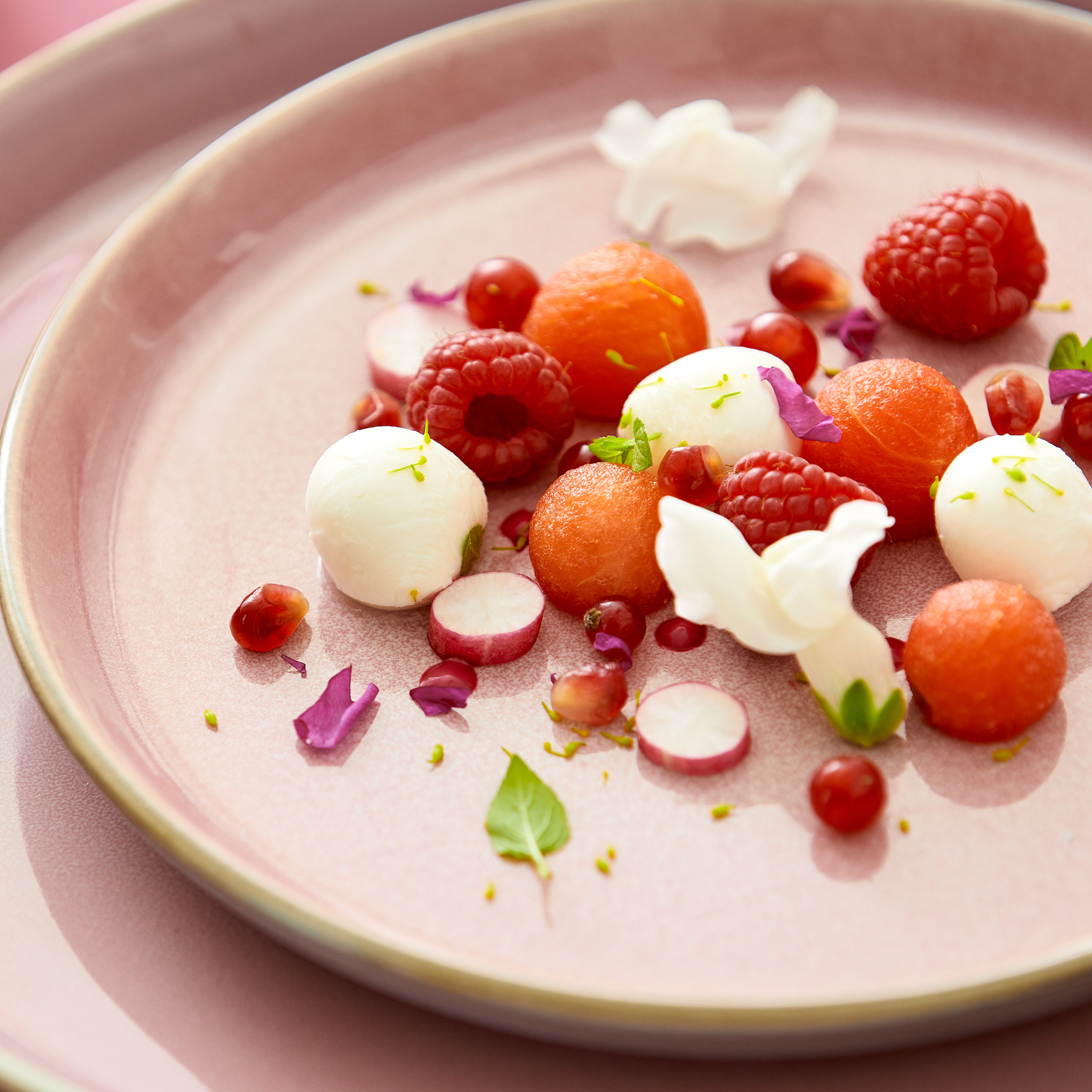 Tallrik Gastro 27 cm grå/rosa Bit