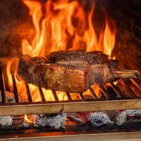 Bertha Original Table Top hiiliuuni, vihreä