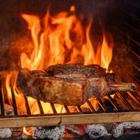 Bertha Original Table Top -hiiliuuni, harmaa