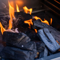 Bertha Original Top hiiliuuni, musta