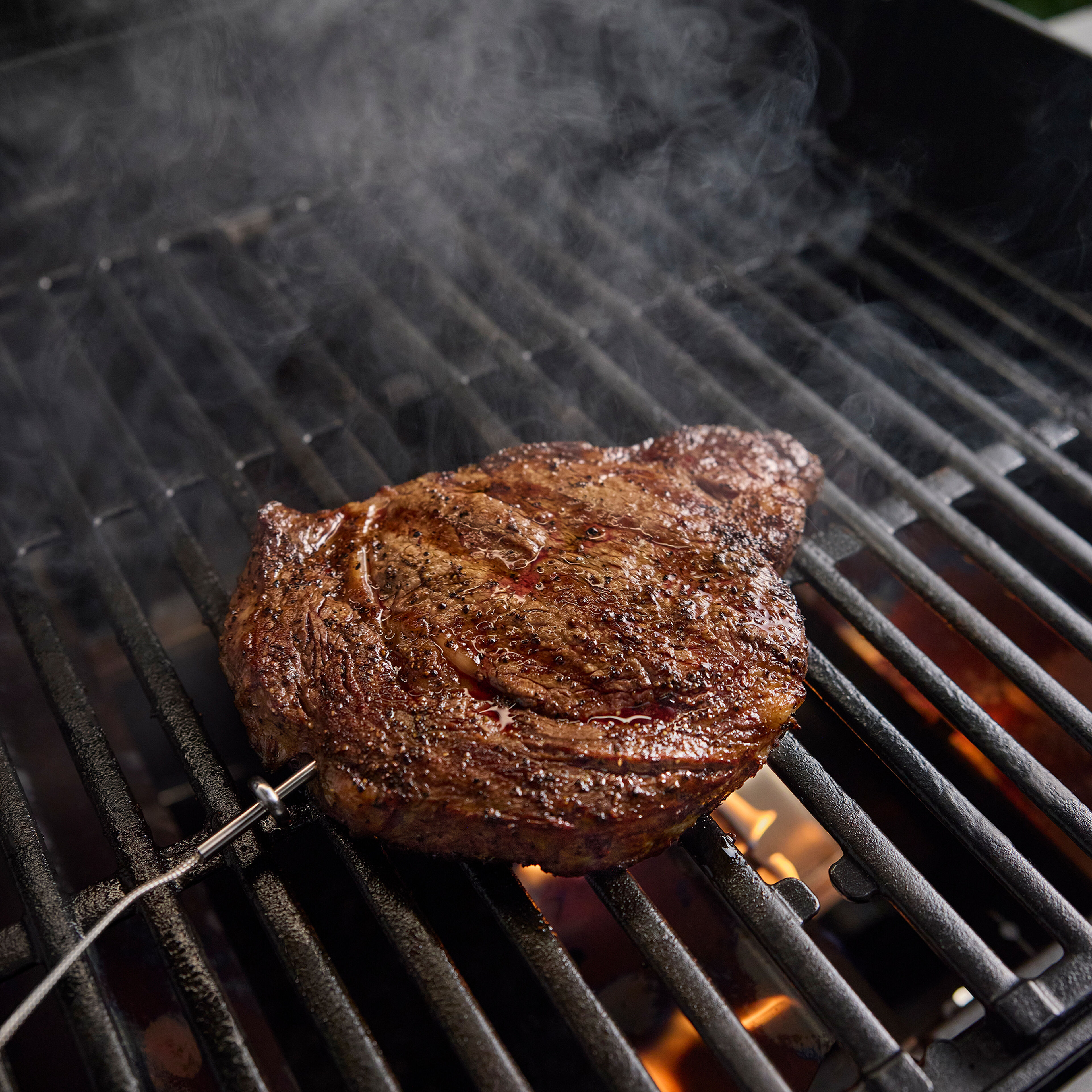 Weber Premium Mätsticka Grilltemperatur
