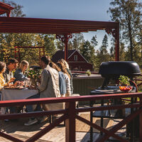 Pizzauuni kaasulla 16"