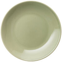 24h asiet 20 cm, salvie