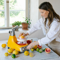 Ankarsrum Assistent AKM6230 + mixerkanna & citruspress, sunbeam yellow