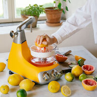 Ankarsrum Assistent AKM6230 + mixerkanna & citruspress, sunbeam yellow