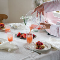 Ankarsrum Assistent AKM6230 + mixerkanna & citruspress, cloudy pink