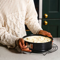 Performance springform 23 cm