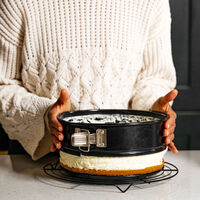 Performance springform 23 cm