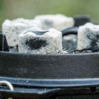 Cabix Plus briketter