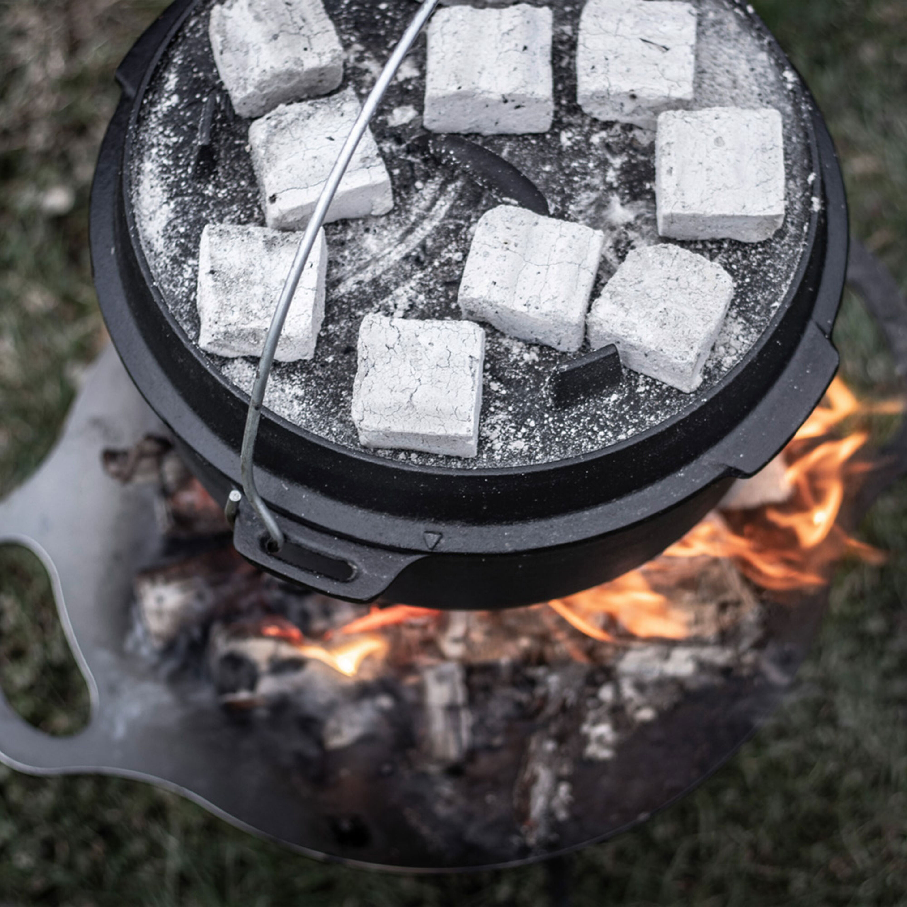 Cabix Plus briketter