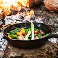 FP25 gjutjärnsstekpanna 25 cm