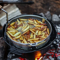 FT6/FT9 friteerauskori