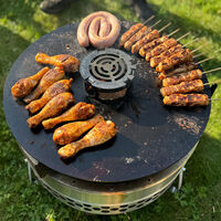 Grillplade til Pyron/Tyropit