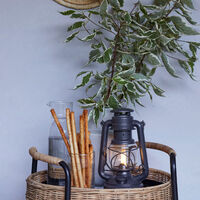 Baby Special 276 LED-lykta, sparkling iron