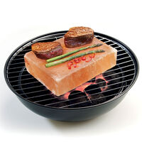 Rivsalt BBQ Himalaya Saltblok