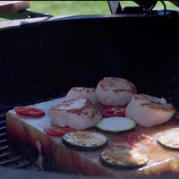 Rivsalt BBQ 2 saltblock + bricka