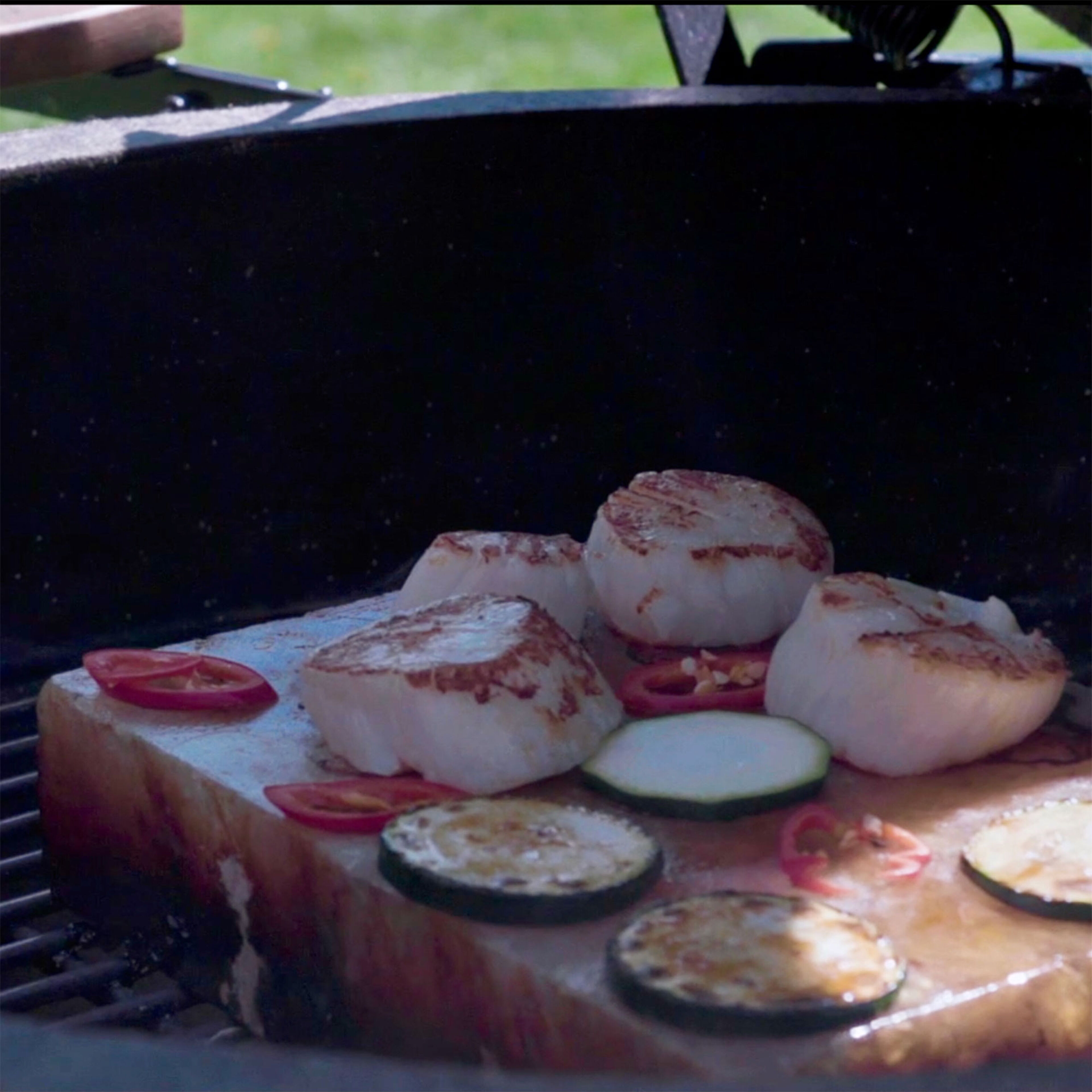 Rivsalt BBQ 2 saltblock + bricka