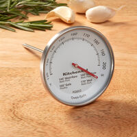 Leave-In analog köttermometer
