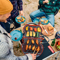 Transportabel gasgrill 3.0, terra red