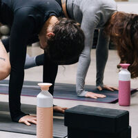 Termoflaske 580 ml, pelican pink