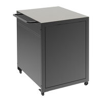 Witt Pizzavogn Master Black/Silver