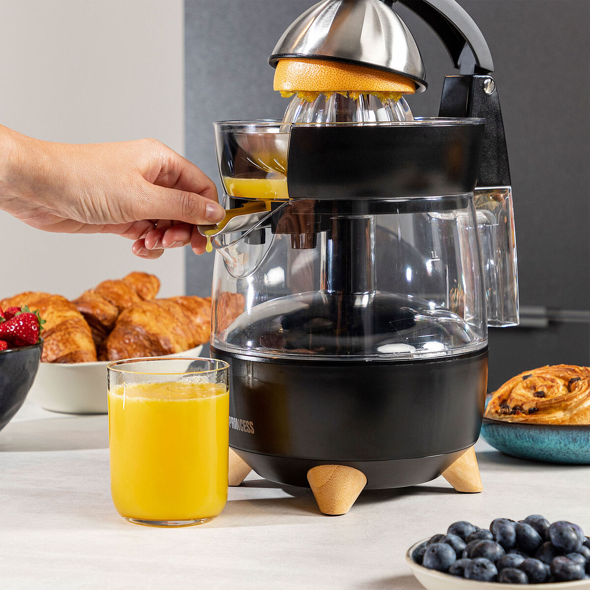 Juicepress 300 watt