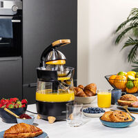 Juicepress 300 watt