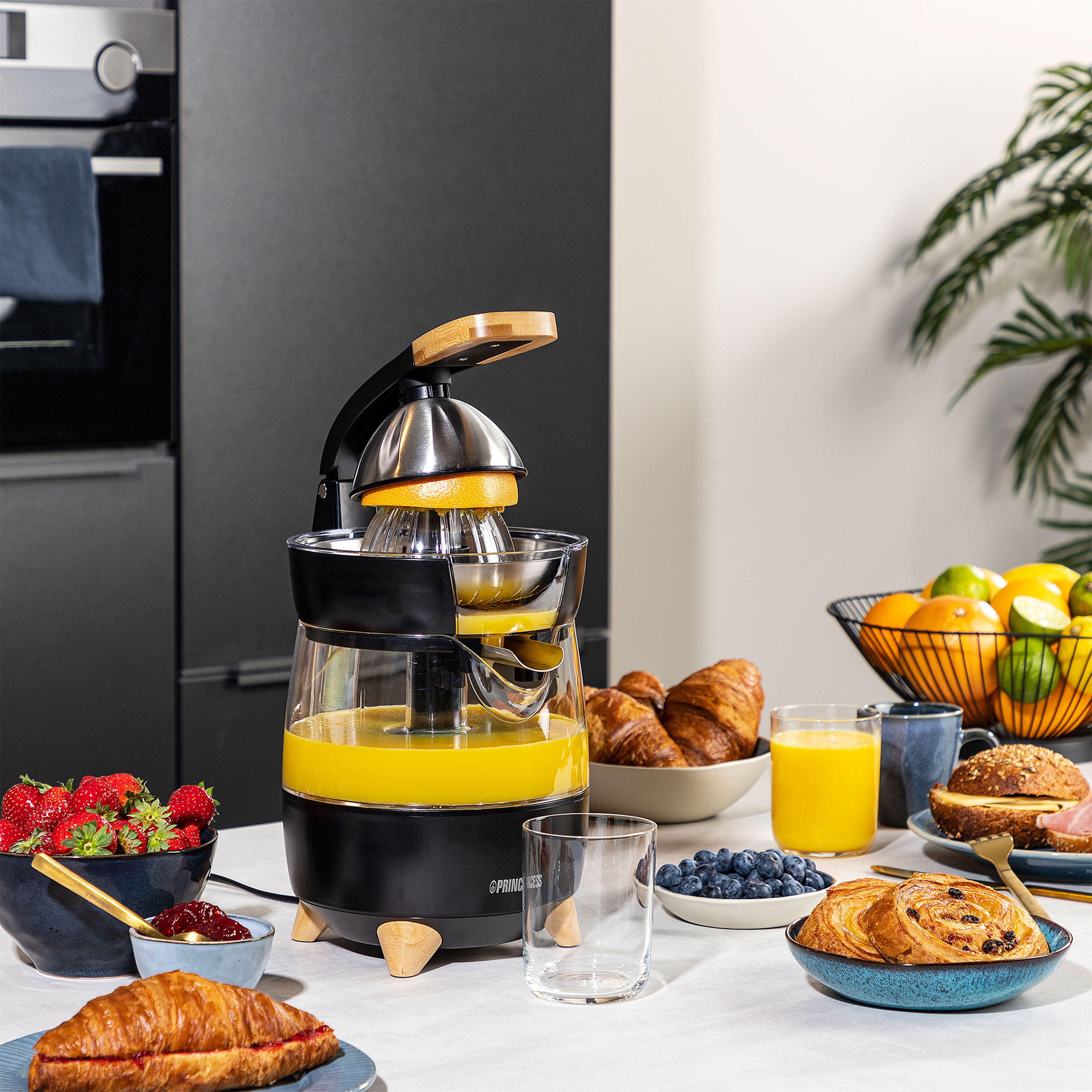 Juicepress 300 watt