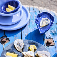 Oystie skål, blå