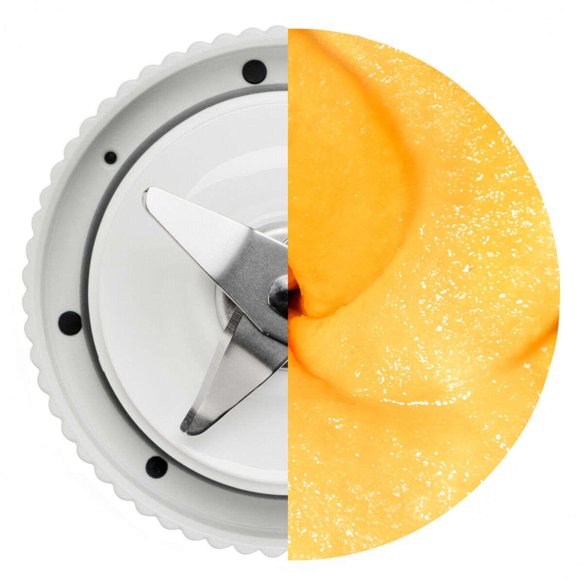 Flex bærbar blender 590 ml, hvit