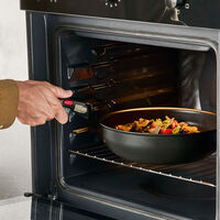 Ingenio Excellence Fusion wokpanna 28 cm