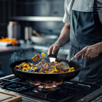 Ingenio Excellence Fusion gryde- og stegepandesæt, 11 dele