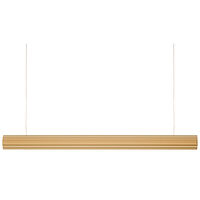 Rate pendel 55 cm, mässing