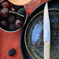 Opinel Facette bordskniv 4-pack, ask