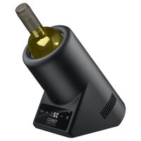 Caso WineCase One 615 vinkylare 1 flaska
