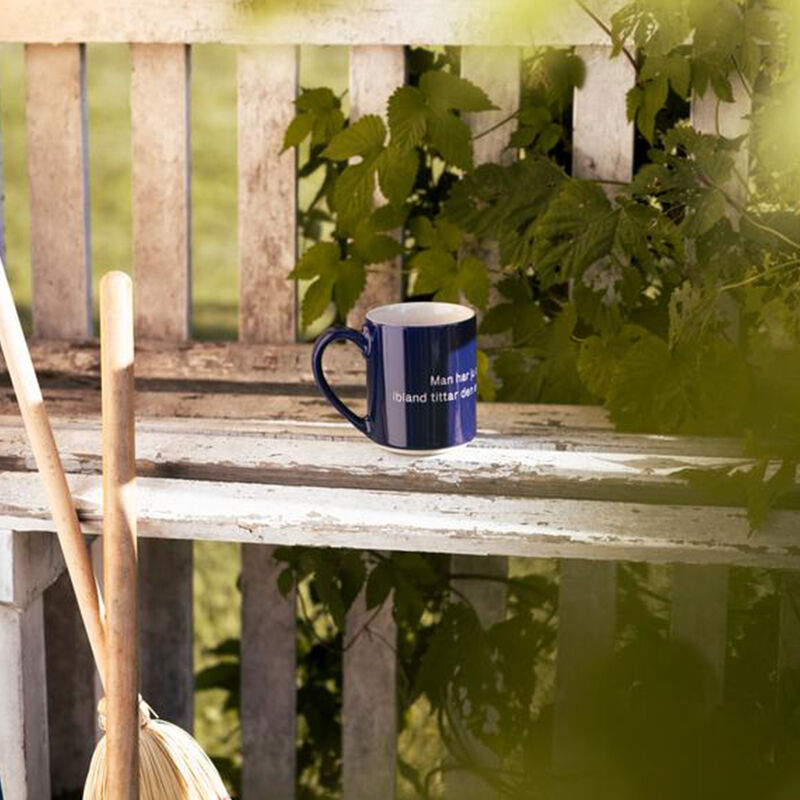 Astrid Lindgren kopp 35 cl, Man har ju alla åldrar…