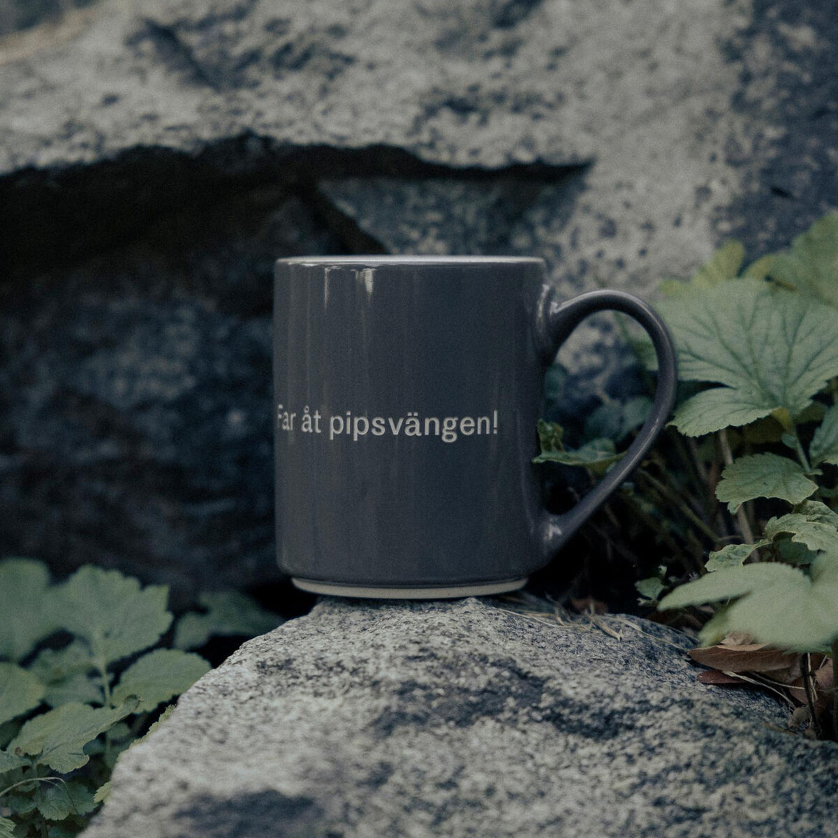 Astrid Lindgren mugg 35 cl, "far åt"