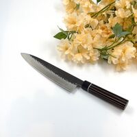 Suncraft Senzo Strix 210 Gyuto-veitsi
