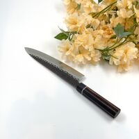 Suncraft Senzo Strix 210 Gyuto-veitsi