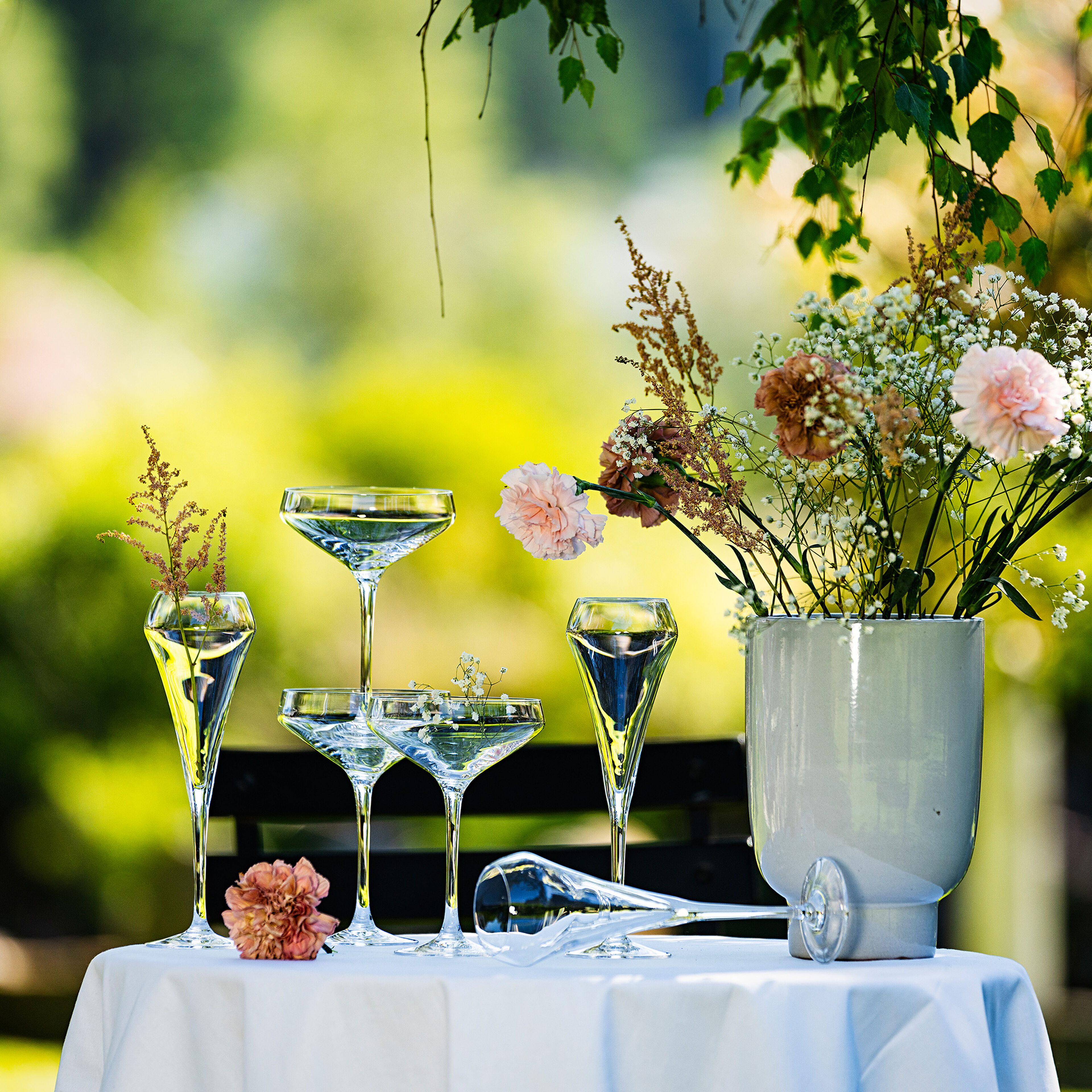 Open Up champagneglass 30 cl, 6 stk