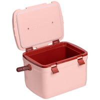 Easy-Carry køleboks 15 liter, peach rose