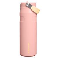 Iceflow Flip Straw flaska 0,71 liter, peach rose