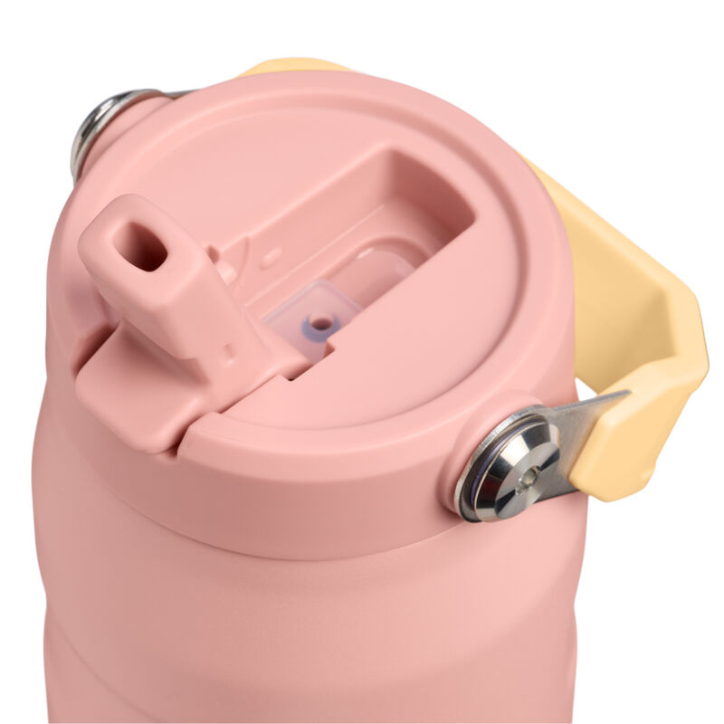 Iceflow Flip Straw flaska 0,71 liter, peach rose
