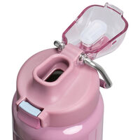 Wellspring termosflaska 0,71 liter, purple smoke